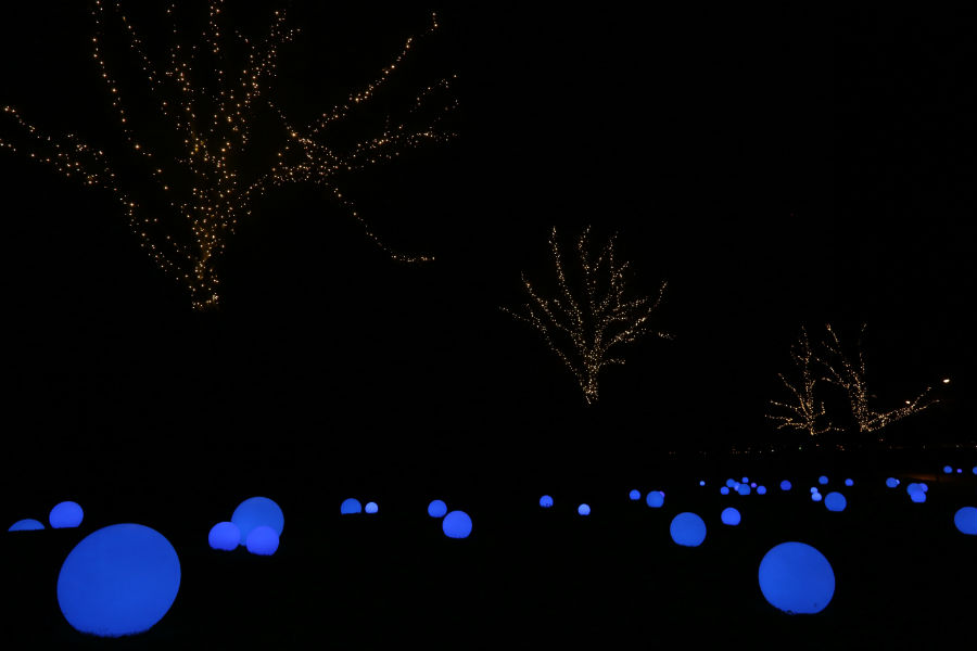 GLOW Den Bosch | Fletcher Hotel in Den Bosch (foto: Martijn de Bie)